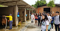 Participants learn about the horse nursery (Photo Credit: Mr. Leo Lee; Programme Host: South China Agricultural University)